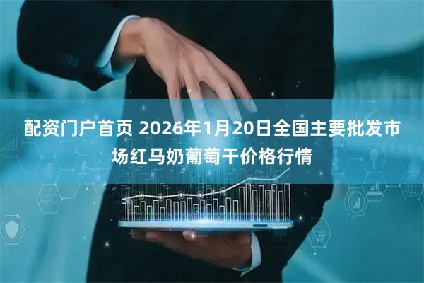 配资门户首页 2026年1月20日全国主要批发市场红马奶葡萄干价格行情