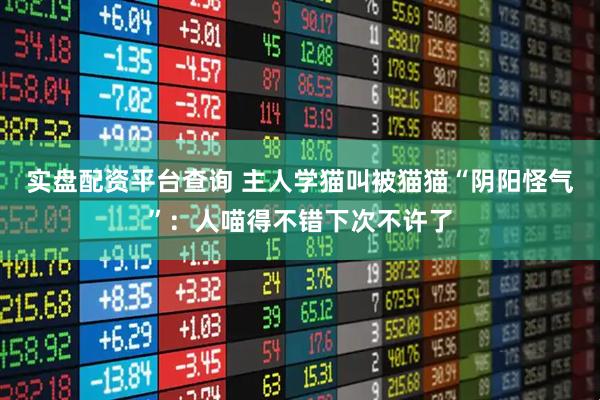 实盘配资平台查询 主人学猫叫被猫猫“阴阳怪气”：人喵得不错下次不许了